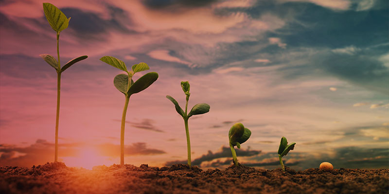 Système de gestion environnementale ISO 14001